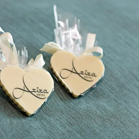 Hotel Aziza-3